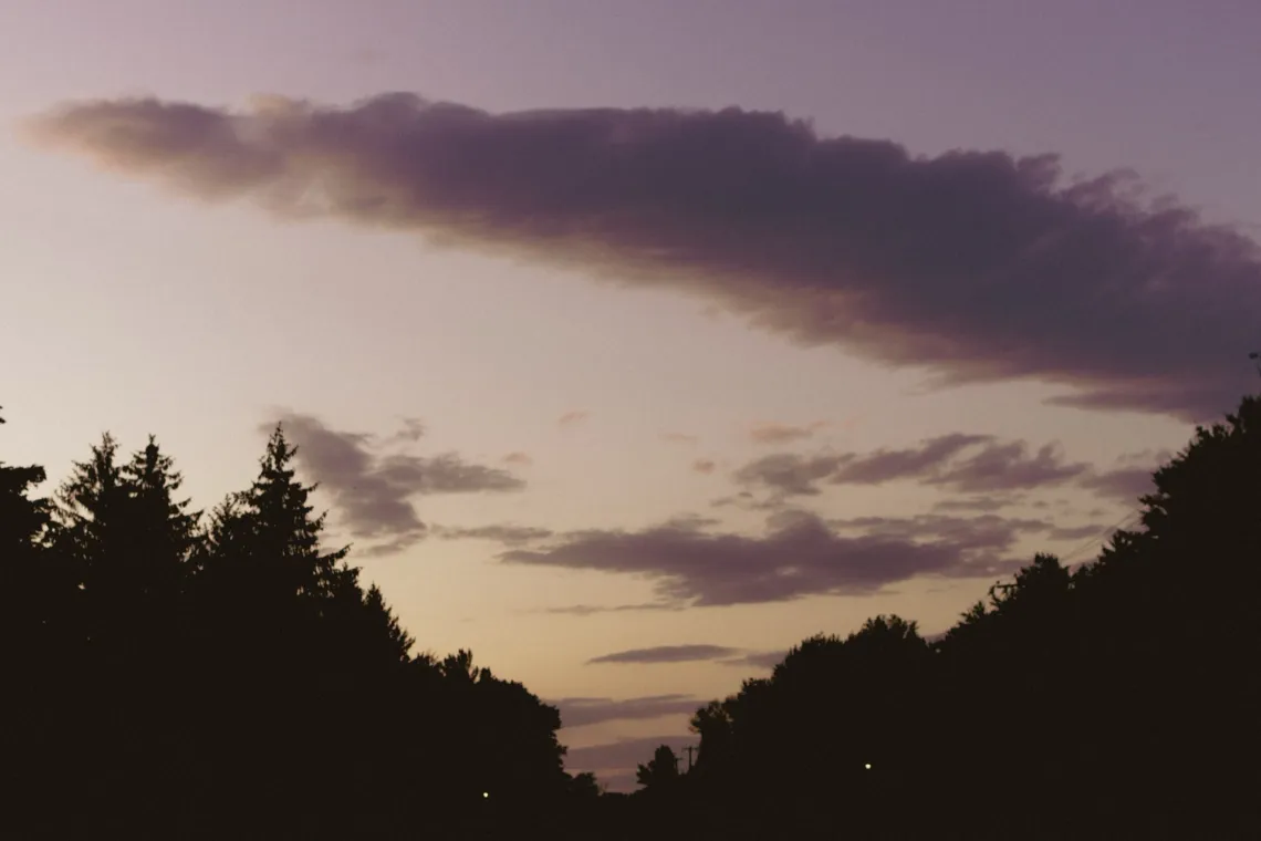 A landscape scene shows soft clouds reflecting the golden-pink sky as the sun sets. Trees in silhouette line the bottom of the image.