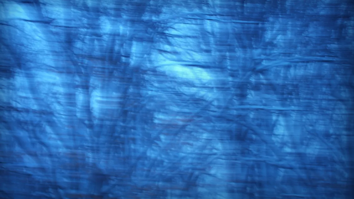 Motion-blurred capture of snowy trees against the sky.