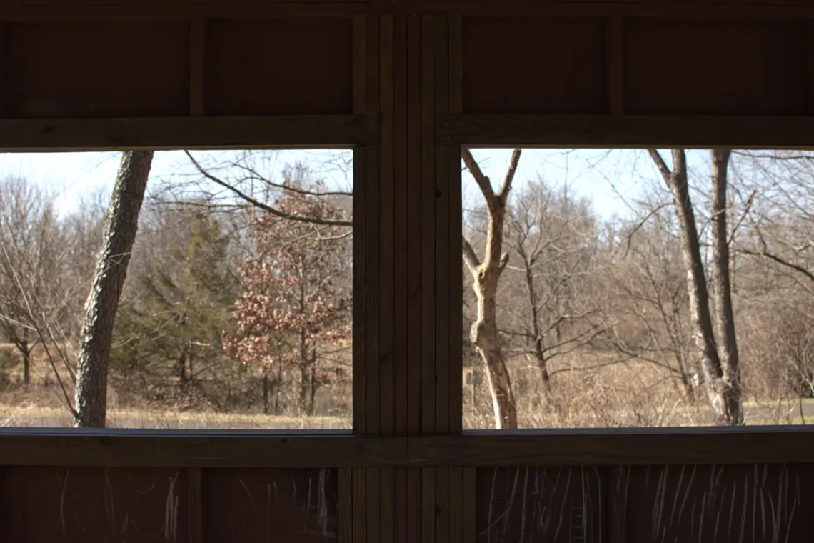 Dark, wooden wall partially obstructs outside view of dry grass, shrubs, and trees.