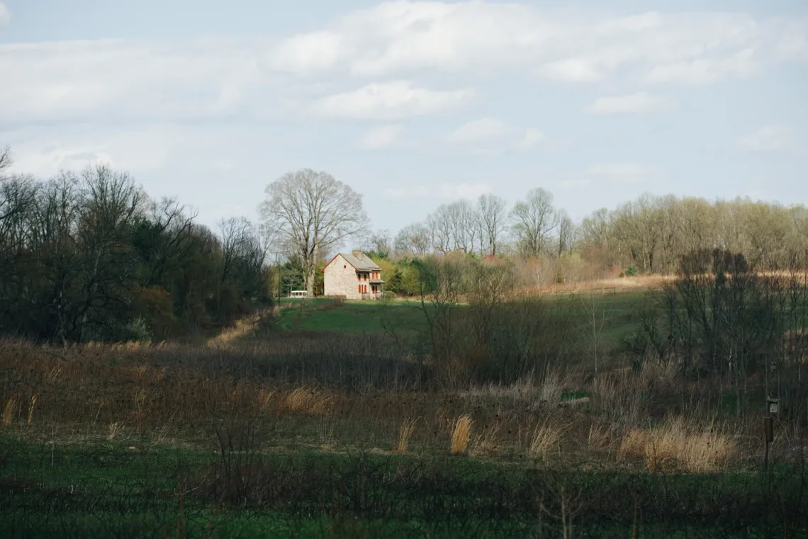In a valley of brush and branches, a single house reflects the light of the setting sun.