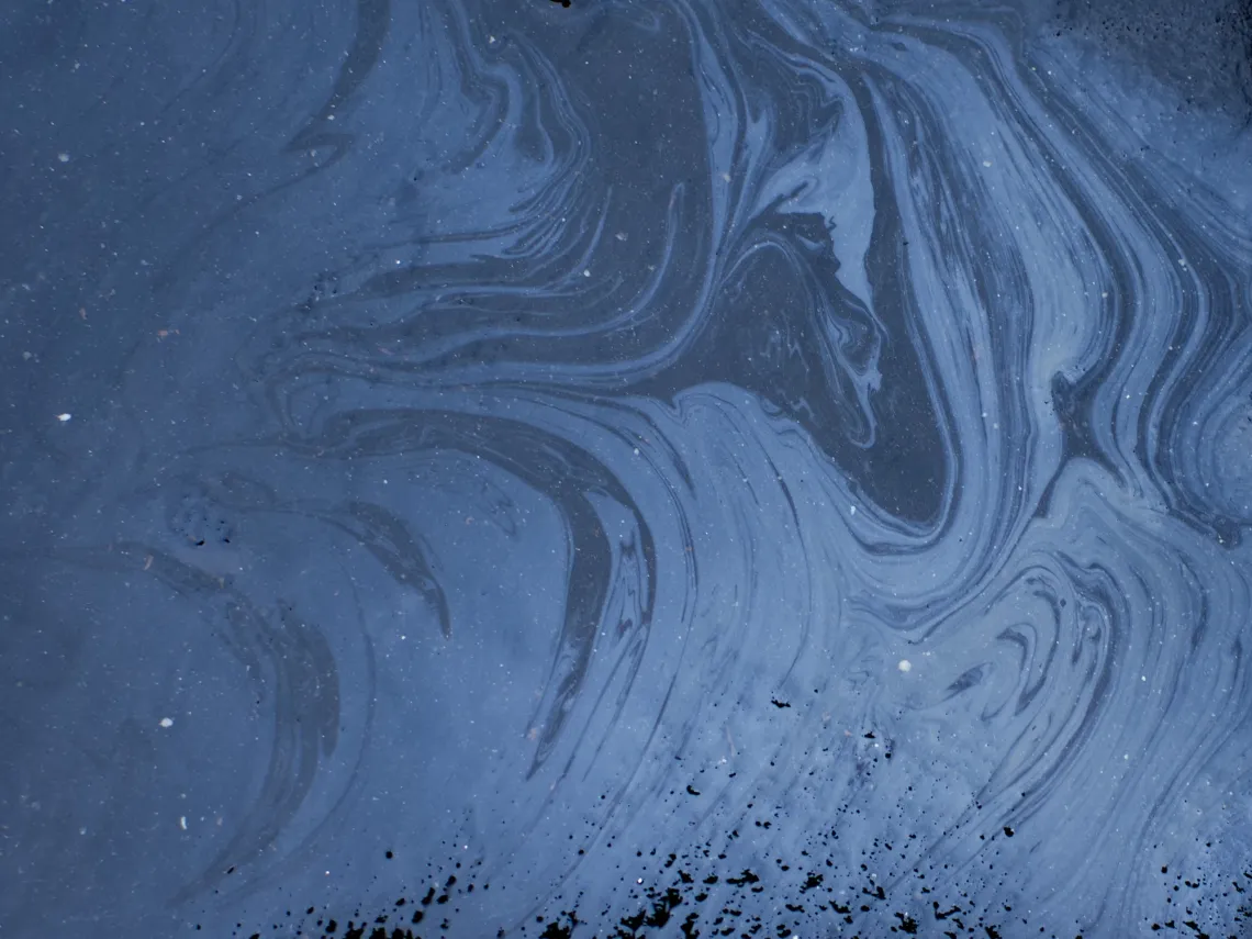 Swirls of blue oil patterns create a thin coat over the ground.
