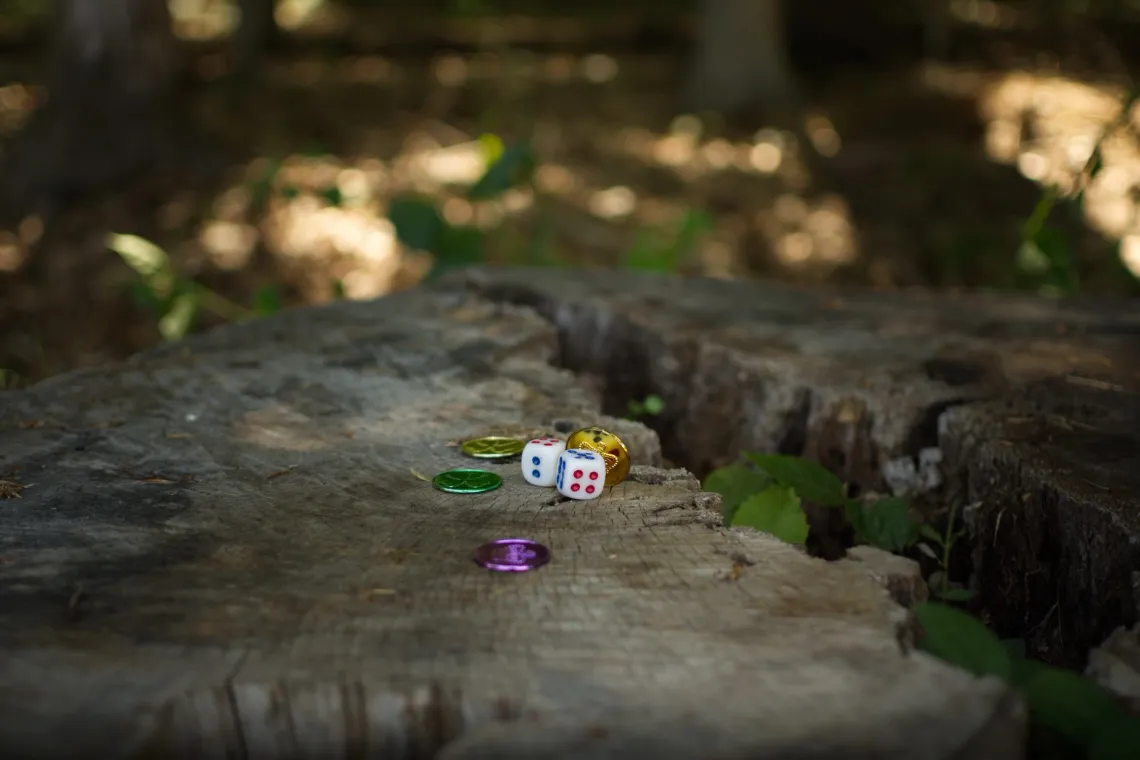Two dice and various colored plastic coins are placed on a flat tree stump, in a shaded woods. In the background, the grass and leaves are partly lit by sunlight.