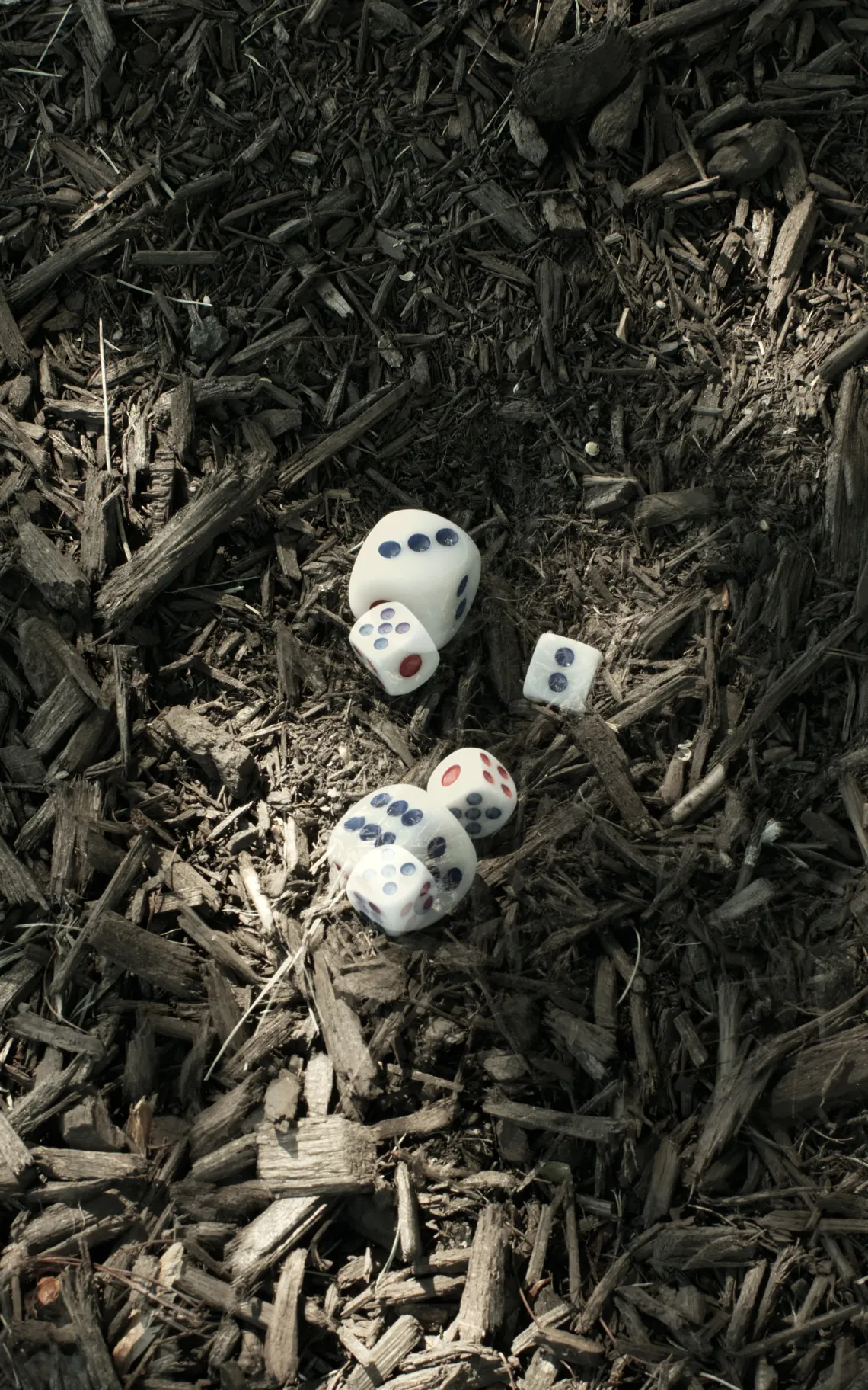 Multiple dice tumble down some mulch, partly lit by sunlight. The image is a result of a double exposure, with dice partially transparent.