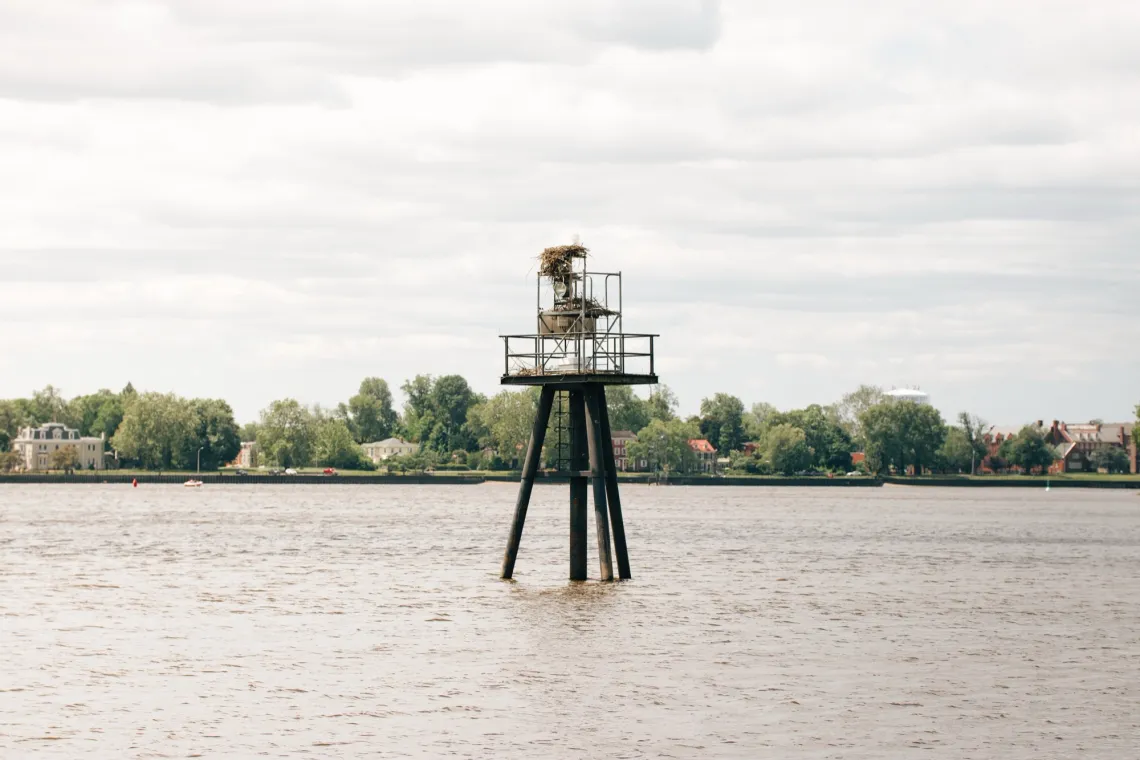 Bird nests rest on a channel marker in the river. In the background, houses and green trees sit on the horizon under a cloudy sky.