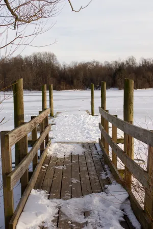 Day 10: Frozen Winter Pier