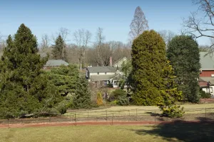 Day 45: Grassy Oasis