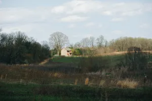 In a valley of brush and branches, a single house reflects the light of the setting sun.