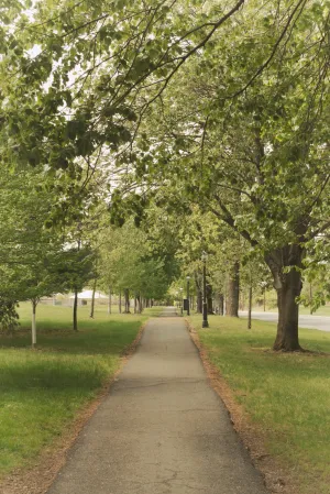A gray sidewalk trailing to a central vanishing point splits green grass and trees to its left and right.